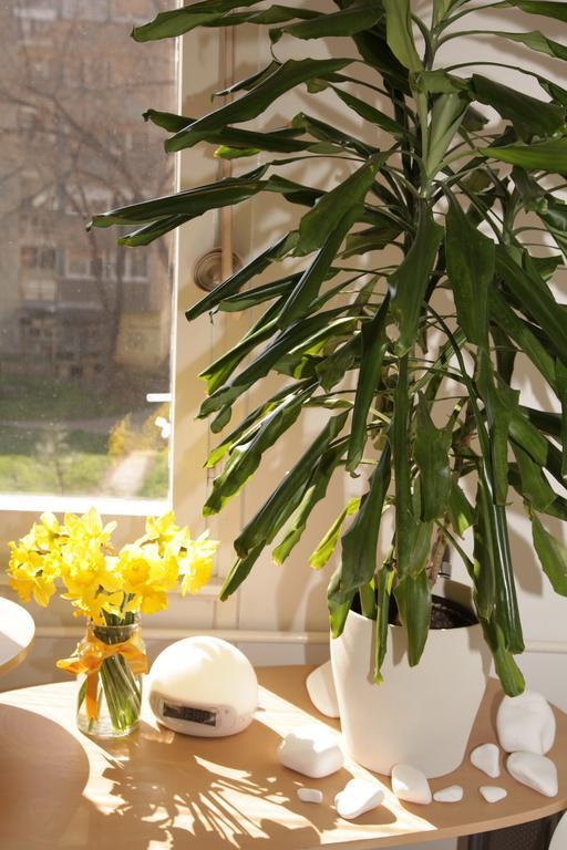 Apartment Spacious Liman 诺威萨 外观 照片