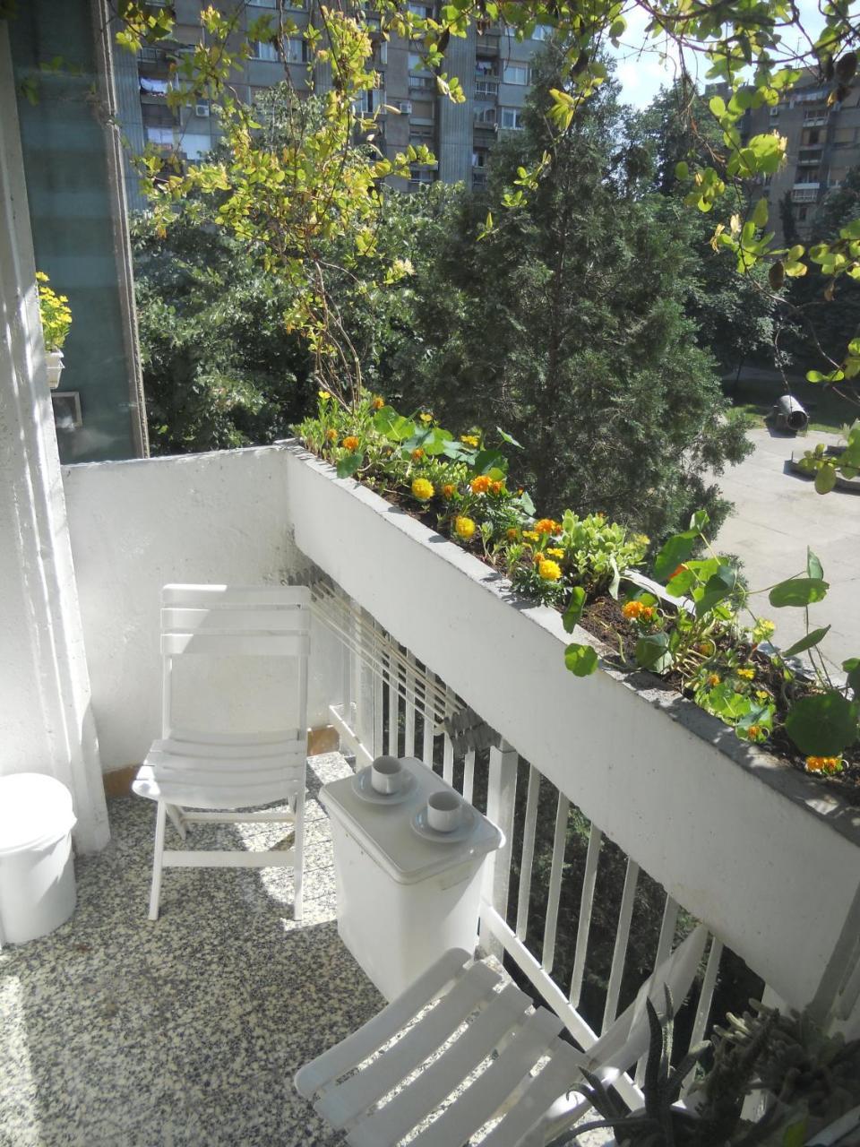 Apartment Spacious Liman 诺威萨 外观 照片